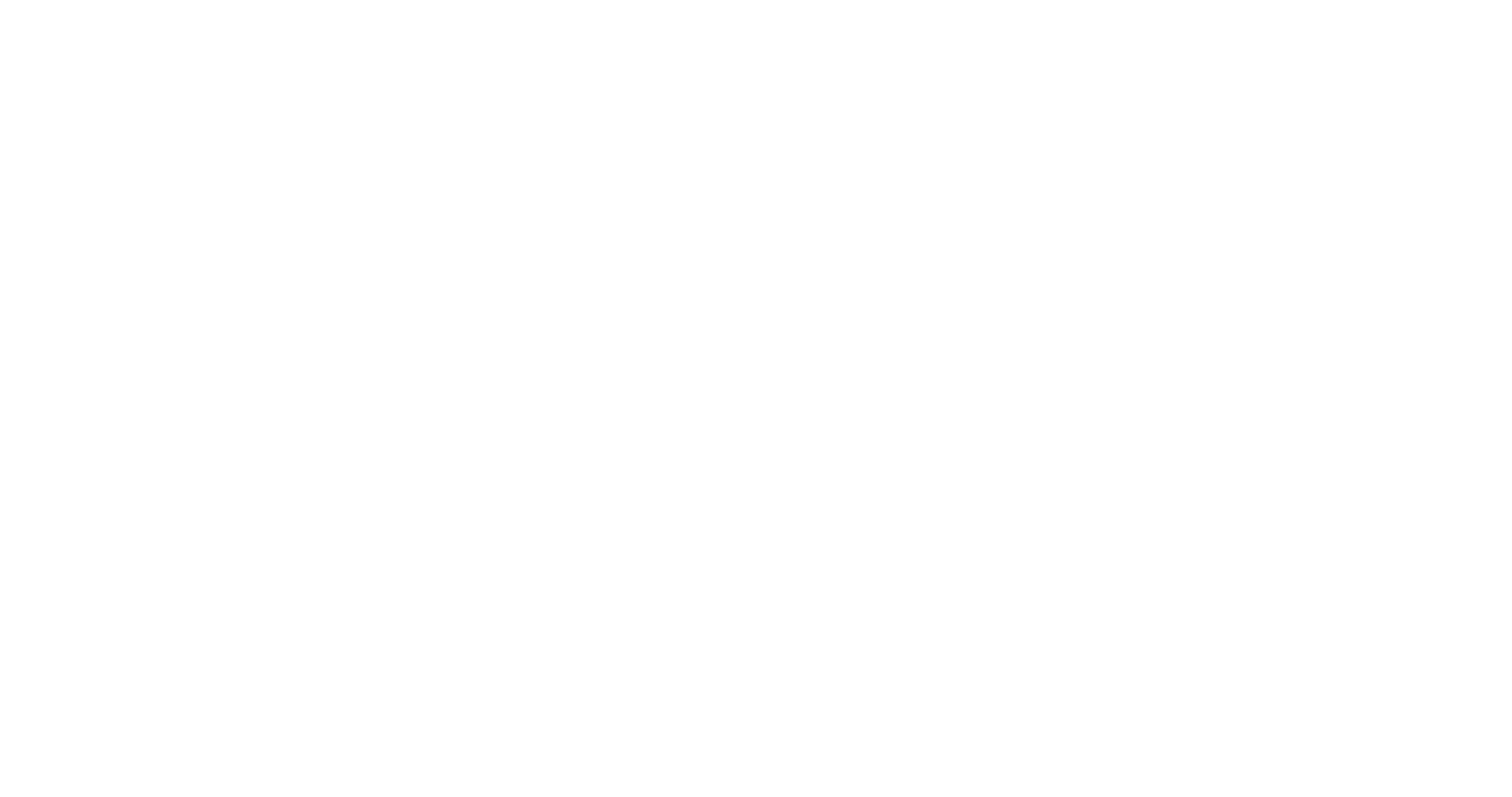 Dutch Student Union (LSVb)